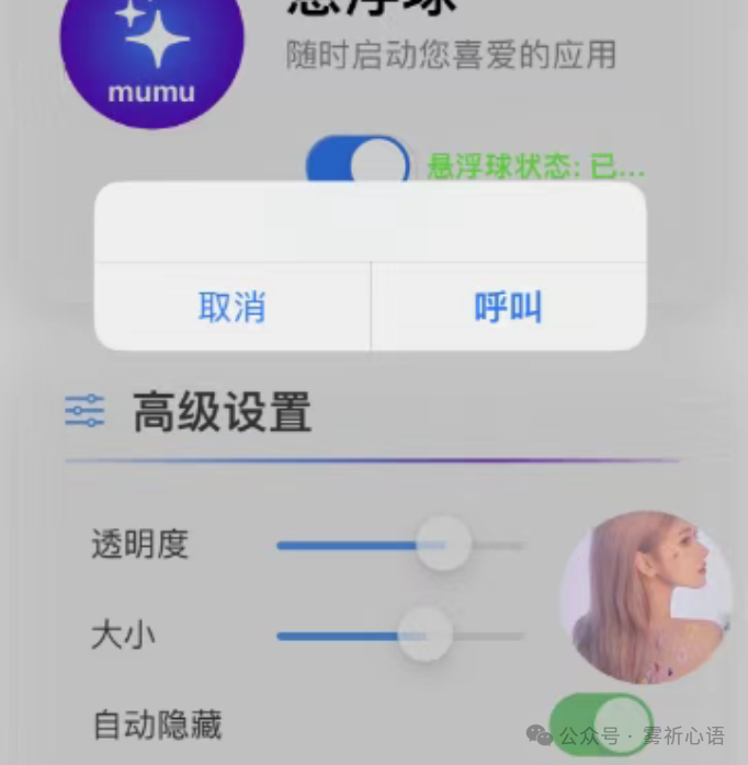 图片[1]-TheBall_悬浮球，应用介绍及讲解-博客喵