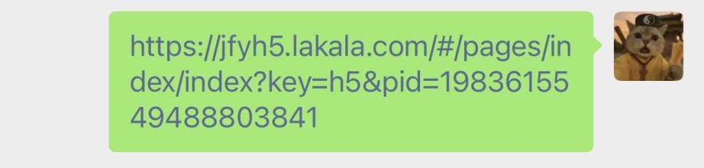 图片[5]-易支付对接拉卡拉缴费易v1，保姆级详细教程！-博客喵